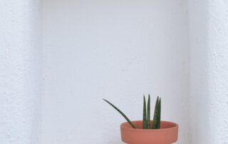 eight-senses-cozy-room2-010